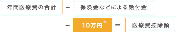 医療費控除額計算式